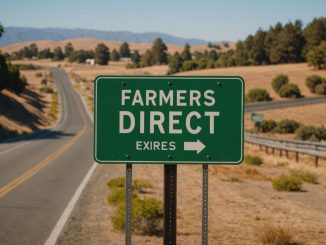 Farmers Direct exits California insurance market